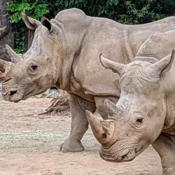 Riverbanks Zoo and Garden - Columbia