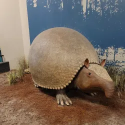 South Carolina State Museum - Columbia