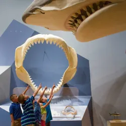 South Carolina State Museum - Columbia