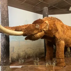 South Carolina State Museum - Columbia