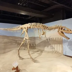 South Carolina State Museum - Columbia