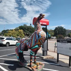 The Vista - Columbia