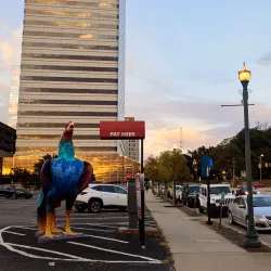 The Vista - Columbia