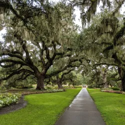 Conway Botanical Gardens - Conway