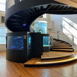 Horry County Museum - Conway