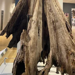 Florence County Museum - Florence