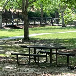 Timrod Park Disc Golf Course - Florence