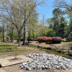 Timrod Park Disc Golf Course - Florence