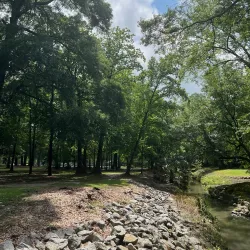Timrod Park Disc Golf Course - Florence