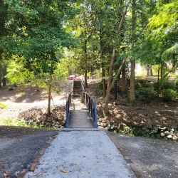 Timrod Park - Florence