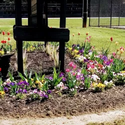 Northeast Park - Gaffney