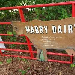 Pearman Dairy Farms - Gaffney