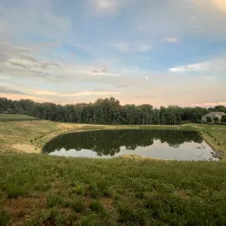 The Peachoid - Gaffney