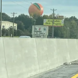The Peachoid - Gaffney
