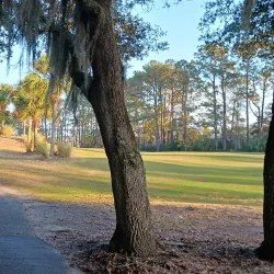 Charleston National Golf Club - Goose Creek