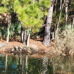Charleston National Golf Club - Goose Creek