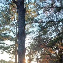 Charleston National Golf Club - Goose Creek