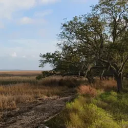 Charleston National Golf Club - Goose Creek