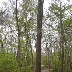 Crowfield Golf Club - Goose Creek