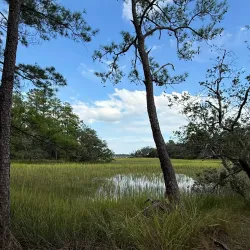 Daniel Island Park - Goose Creek
