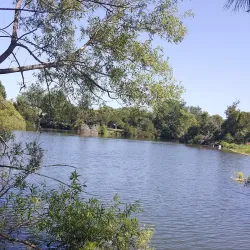 Goose Creek Community Center - Goose Creek