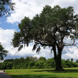 Goose Creek Community Center - Goose Creek