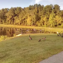 Goose Creek Community Center - Goose Creek