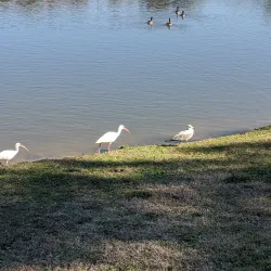 Goose Creek Community Center - Goose Creek