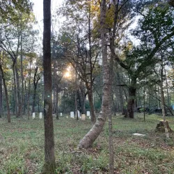 Goose Creek Historical Society Museum - Goose Creek