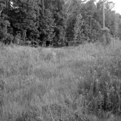 Goose Creek Nature Trail - Goose Creek