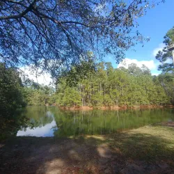 Goose Creek Nature Trail - Goose Creek