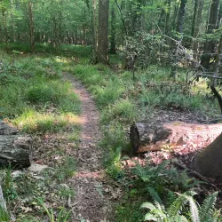 Goose Creek Nature Trail - Goose Creek