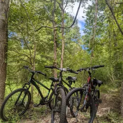 Goose Creek Nature Trail - Goose Creek