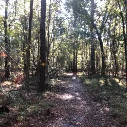 Goose Creek Nature Trail - Goose Creek