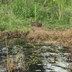 Goose Creek Reservoir - Goose Creek