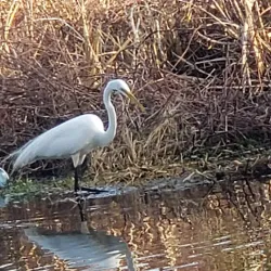 Goose Creek Reservoir - Goose Creek