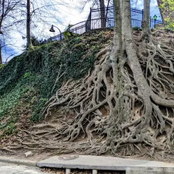 Falls Park on the Reedy - Greenville