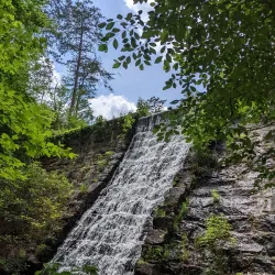Paris Mountain State Park - Greenville