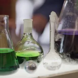 Roper Mountain Science Center - Greenville