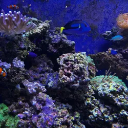 Roper Mountain Science Center - Greenville