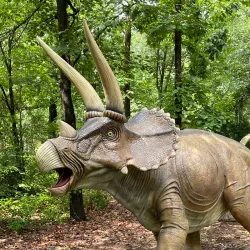 Roper Mountain Science Center - Greenville