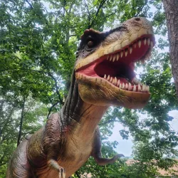 Roper Mountain Science Center - Greenville