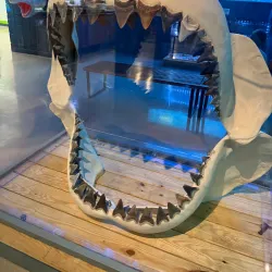 Roper Mountain Science Center - Greenville