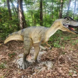 Roper Mountain Science Center - Greenville