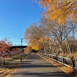 Swamp Rabbit Trail - Greenville