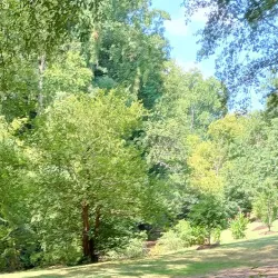 Swamp Rabbit Trail - Greenville