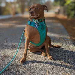 Swamp Rabbit Trail - Greenville