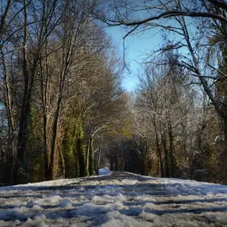 Swamp Rabbit Trail - Greenville