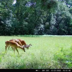 Black Creek Park - Hartsville