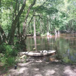 Black Creek Park - Hartsville